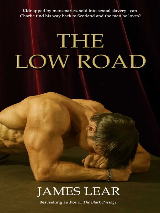Title details for Low Road by James Lear - Wait list